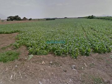 Terrenos Agricolas Venta AV. Panamericana Norte - HUANCHACO