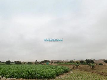 Terrenos Agricolas Venta AV. Panamericana Norte - HUANCHACO