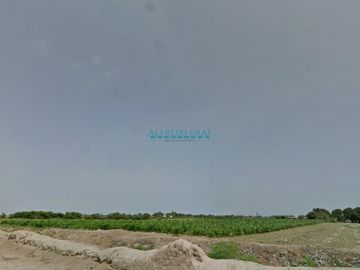 Terrenos Agricolas Venta AV. Panamericana Norte - HUANCHACO