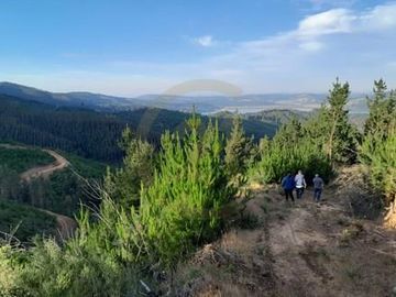 Terreno  Lago Vichuquén 2 hectáreas