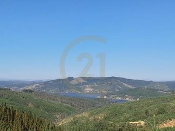 Terreno  Lago Vichuquén 2 hectáreas