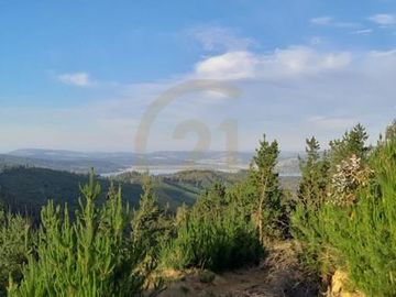 Terreno  Lago Vichuquén 2 hectáreas