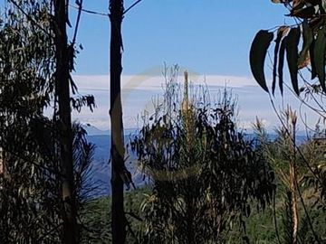 Terreno  Lago Vichuquén 2 hectáreas