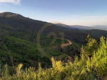 Terreno  Lago Vichuquén 2 hectáreas