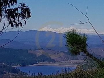 Terreno  Lago Vichuquén 2 hectáreas