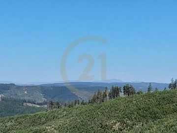 Terreno  Lago Vichuquén 2 hectáreas