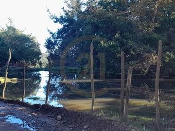 Terreno  Lago Vichuquén 2 hectáreas