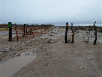 TERRENO 50 HAS, SAN JUAN DE SABINAS, COAHUILA