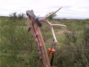 TERRENO 1,287,151.9 m2, SAN JUAN DE SABINAS, COAHUILA