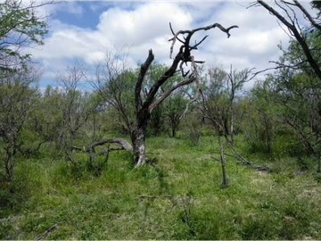 TERRENO 1,287,151.9 m2, SAN JUAN DE SABINAS, COAHUILA