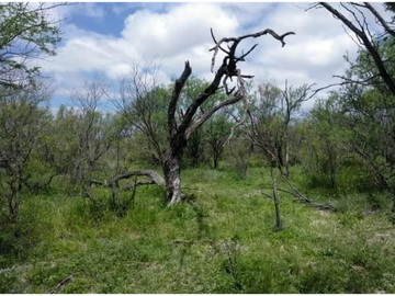 TERRENO 1,287,151.9 m2, SAN JUAN DE SABINAS, COAHUILA
