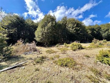 Sitio en Venta en Coñaripe - Termas Geometricas