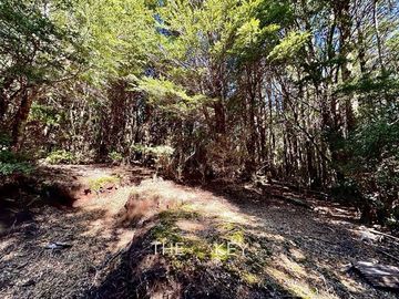 Terreno Construccion  en Venta en Coñaripe - Termas Geometricas