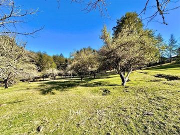 Terreno Construccion  en Venta en Coñaripe - Termas Geometricas