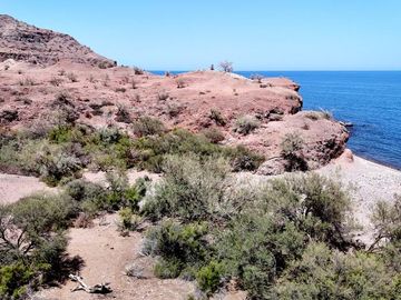 Terreno en Venta en San Cosme - Loreto, BCS - Beachfront 10 HAS - 105 m Frente