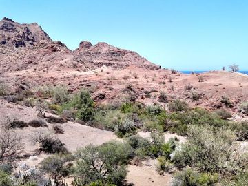 Terreno en Venta en San Cosme - Loreto, BCS - Beachfront 10 HAS - 105 m Frente