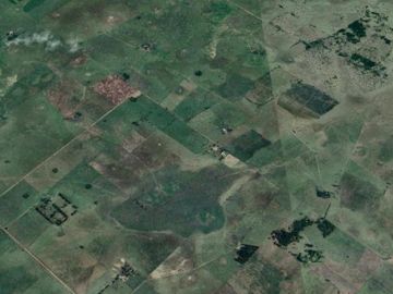 Campo en venta - Casa - 248Ha - Cañuelas