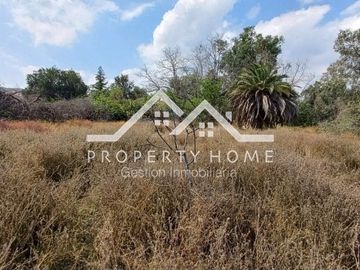 OPORTUNIDAD: CASA PARA REMODELAR 5D, POLO 1 PIEDRA ROJA