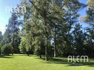 Casa en venta en St. Thomas Canning | Triple lote