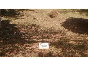 VENDO 2 LOTES ALTOS DEL MARA SECTOR SANTIAGO APÓSTOL 1225M2. $35M2 cv