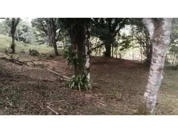VENDO 2 LOTES ALTOS DEL MARA SECTOR SANTIAGO APÓSTOL 1225M2. $35M2 cv