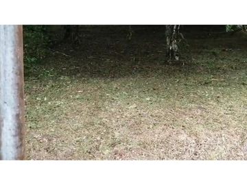 VENDO 2 LOTES ALTOS DEL MARA SECTOR SANTIAGO APÓSTOL 1225M2. $35M2 cv