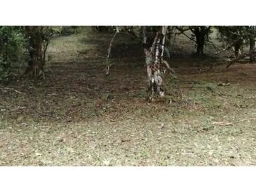 VENDO 2 LOTES ALTOS DEL MARA SECTOR SANTIAGO APÓSTOL 1225M2. $35M2 cv