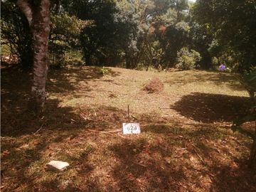 VENDO 2 LOTES ALTOS DEL MARA SECTOR SANTIAGO APÓSTOL 1225M2. $35M2 cv