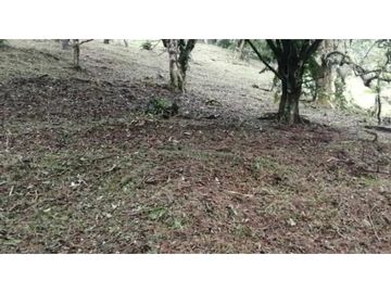 VENDO 2 LOTES ALTOS DEL MARA SECTOR SANTIAGO APÓSTOL 1225M2. $35M2 cv