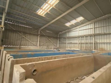 Industrial en Venta en Llay Llay