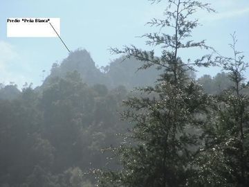 Tipo terreno rústicoJilotepec, zacapoaxtla, Puebla.