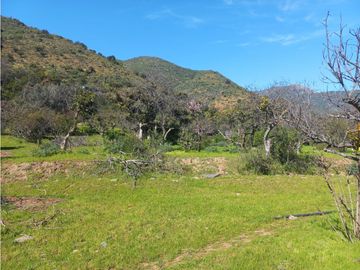 Parcela con 2 Rol, Quebrada Alvarado 1,7 ha