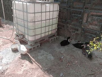 Oportunidad Quinta en García NL