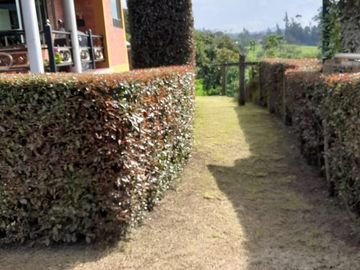 Casa Finca Semi Rural en Venta, Vereda Rodamontal, Cogua