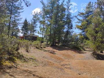Parcela en Venta en Cerro lo Castillo, ruta L751 con L705, Párral