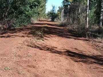 Parcela en Venta en Cerro lo Castillo, ruta L751 con L705, Párral