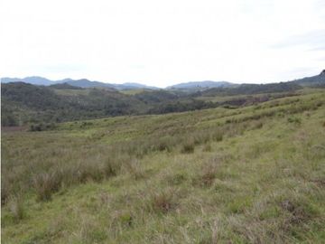 Finca en la unión Antioquia sector Mesopotamia 532 cu.(340 HA)