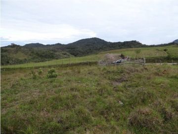 Finca en la unión Antioquia sector Mesopotamia 532 cu.(340 HA)