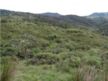 Finca en la unión Antioquia sector Mesopotamia 532 cu.(340 HA)