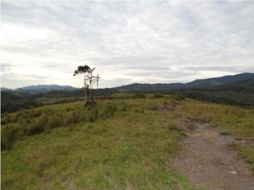 Finca en la unión Antioquia sector Mesopotamia 532 cu.(340 HA)