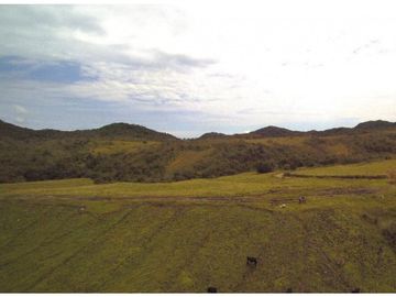 Finca en la unión Antioquia sector Mesopotamia 532 cu.(340 HA)