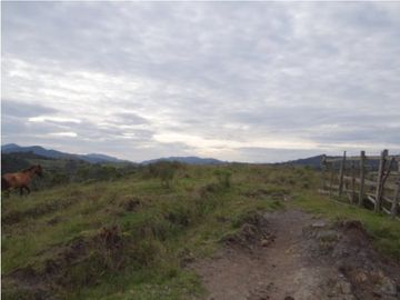 Finca en la unión Antioquia sector Mesopotamia 532 cu.(340 HA)