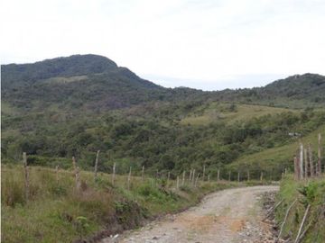 Finca en la unión Antioquia sector Mesopotamia 532 cu.(340 HA)