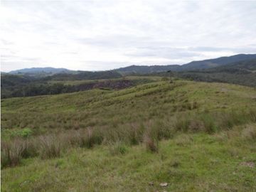 Finca en la unión Antioquia sector Mesopotamia 532 cu.(340 HA)