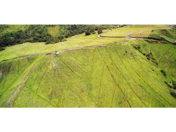 Finca en la unión Antioquia sector Mesopotamia 532 cu.(340 HA)