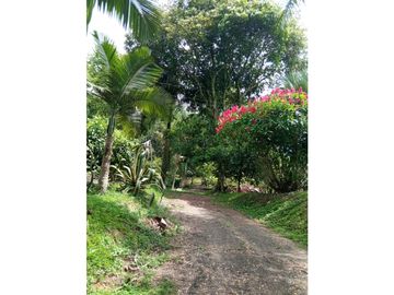 Venta Chalet Tebaida Quindio COD: 4458183