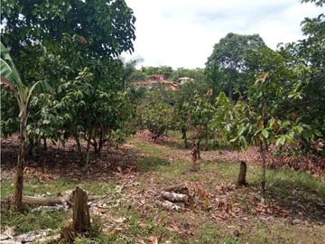 Venta Chalet Tebaida Quindio COD: 4458183