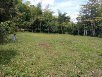 Venta Chalet Tebaida Quindio COD: 4458183