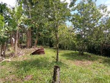 Venta Chalet Tebaida Quindio COD: 4458183