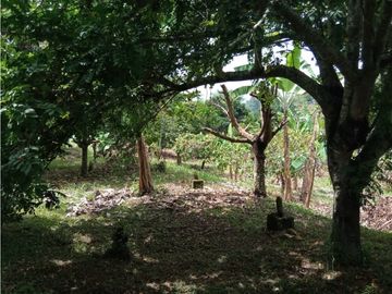 Venta Chalet Tebaida Quindio COD: 4458183